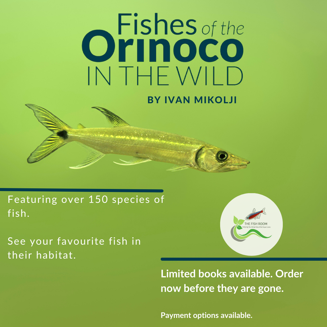 The book everyone is talking about. Limited stock available NOW