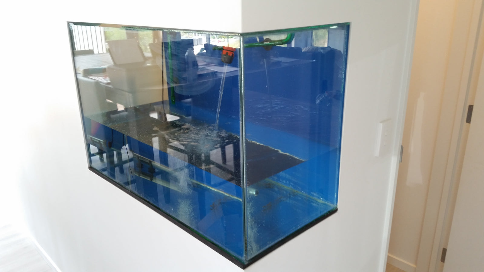 Setting up a New Aquarium Part 2