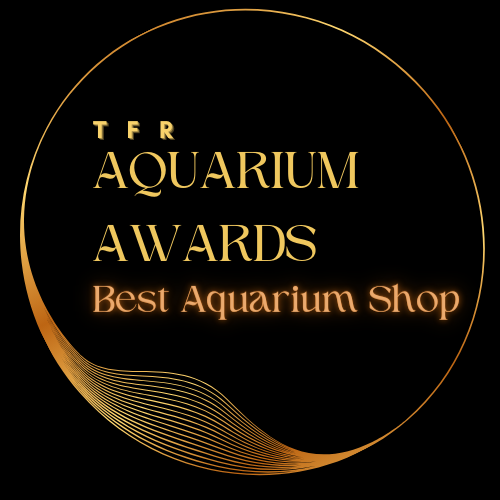 Best aquarium store hot sale