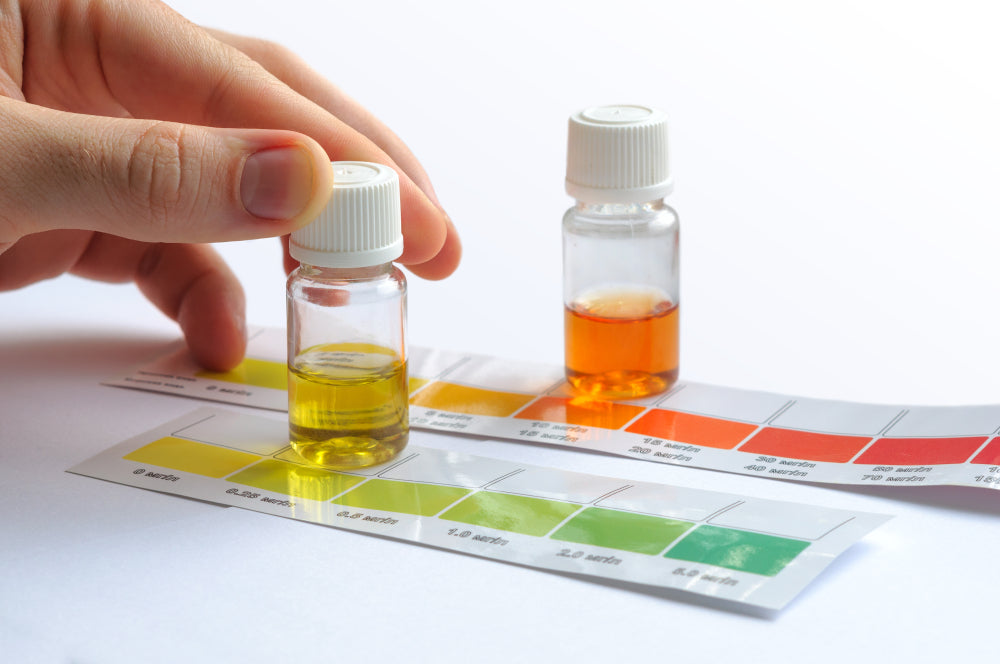 Why are my aquarium nitrates high ?