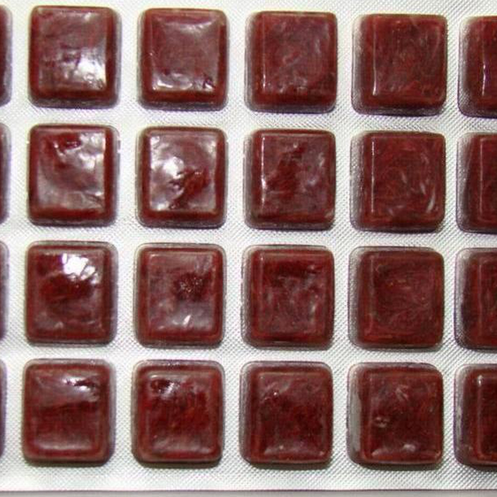 Frozen Blood Worm tropical fish food