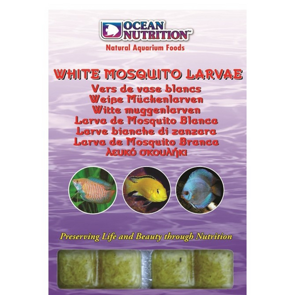 Mosquito larvae betta food hotsell