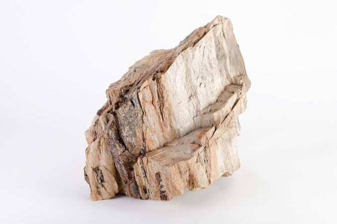 Petrified Rock 25kg