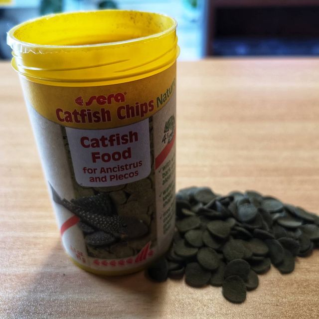 Sera Catfish Chips Review