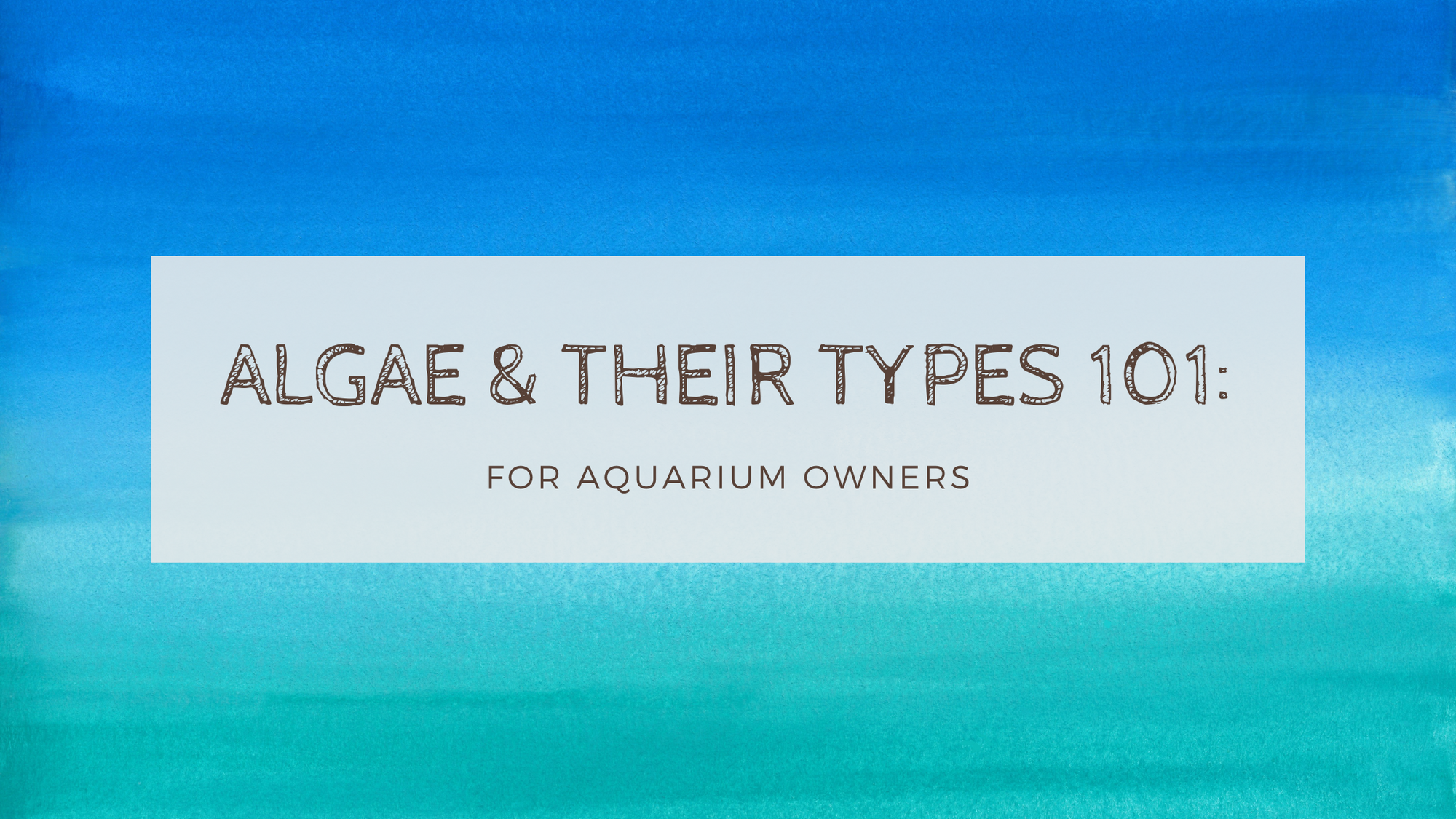 Algae and their types_Blog Banner