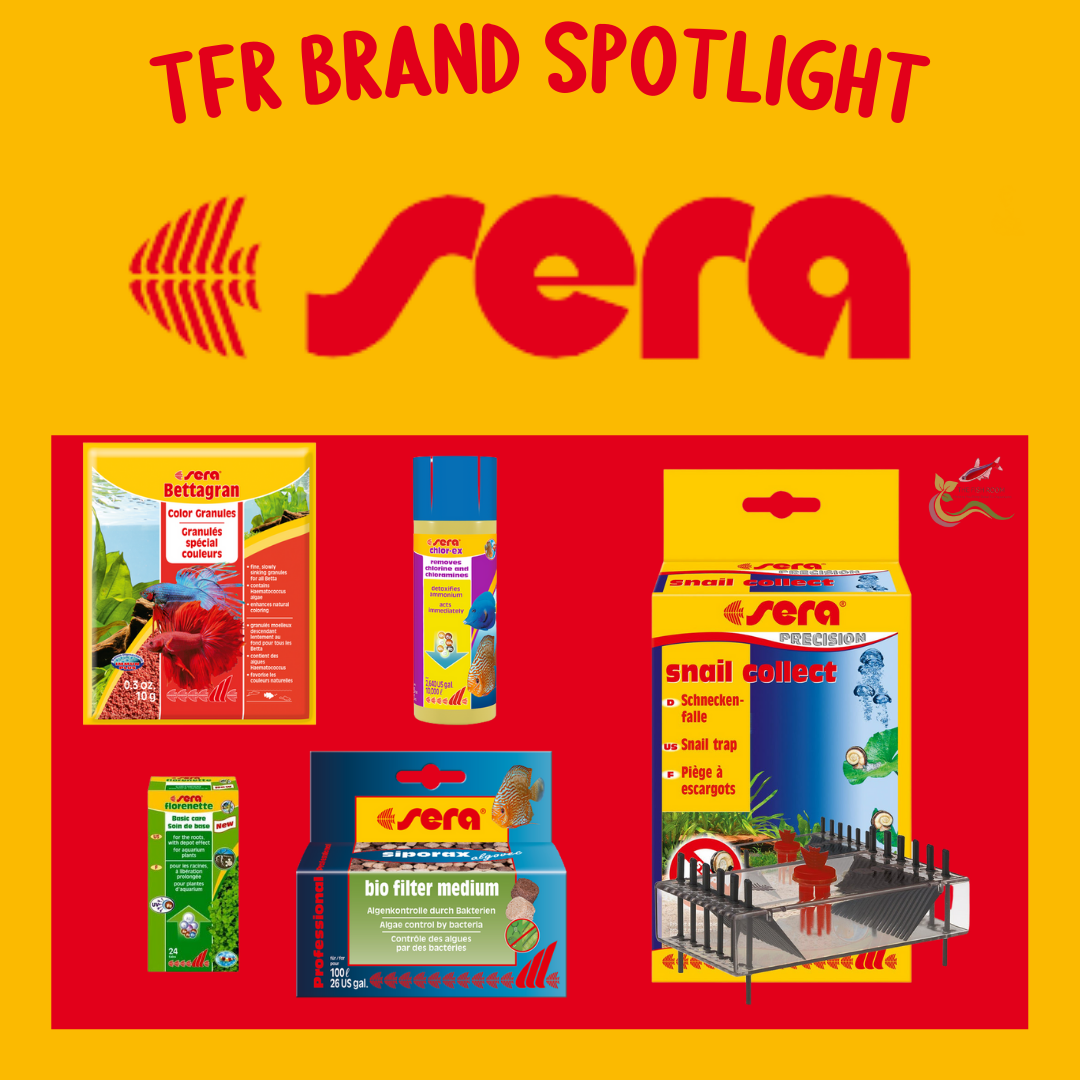 TFR Brand Spotlight February - Sera