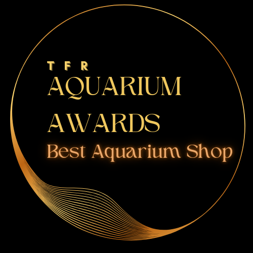 The Aquarium Project: A Shining Beacon in the Aquarium Industry and Winner of the TFR Aquarium Awards