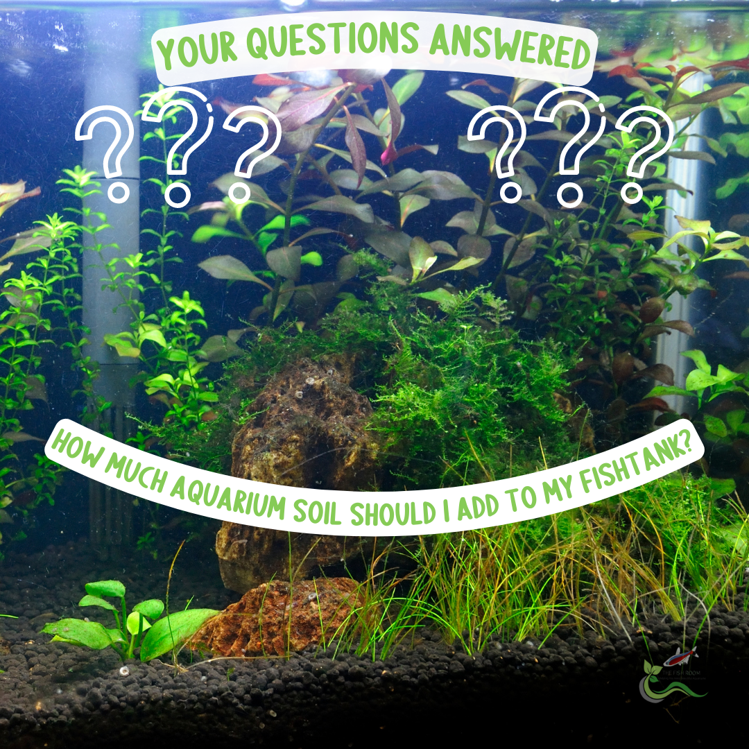 How much aquarium soil should I use in my aquarium?