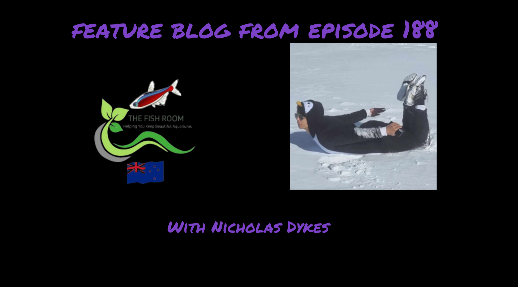 The Unexpected Carnivorous Shrimp and the Journey to Aquascaping Mastery, the story of Nicholas Dykes