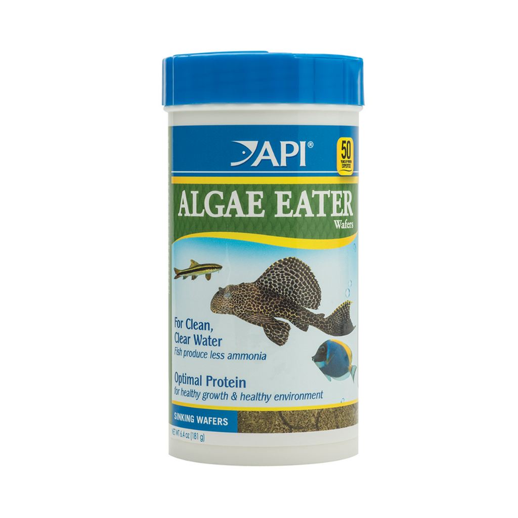 API Algae Eater Wafer 181g Catfish Food for Tropical Aquarium