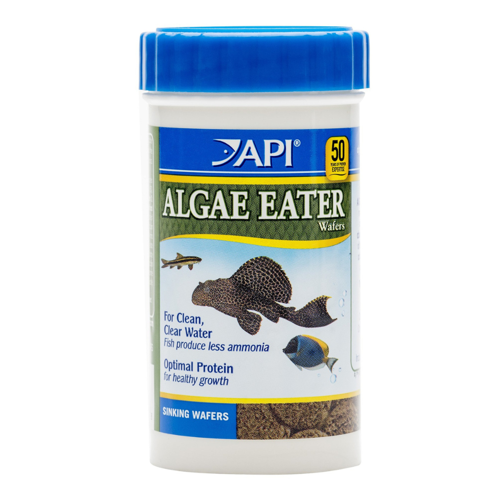 API Algae Eater Wafer 37g Catfish Food for Tropical Aquarium