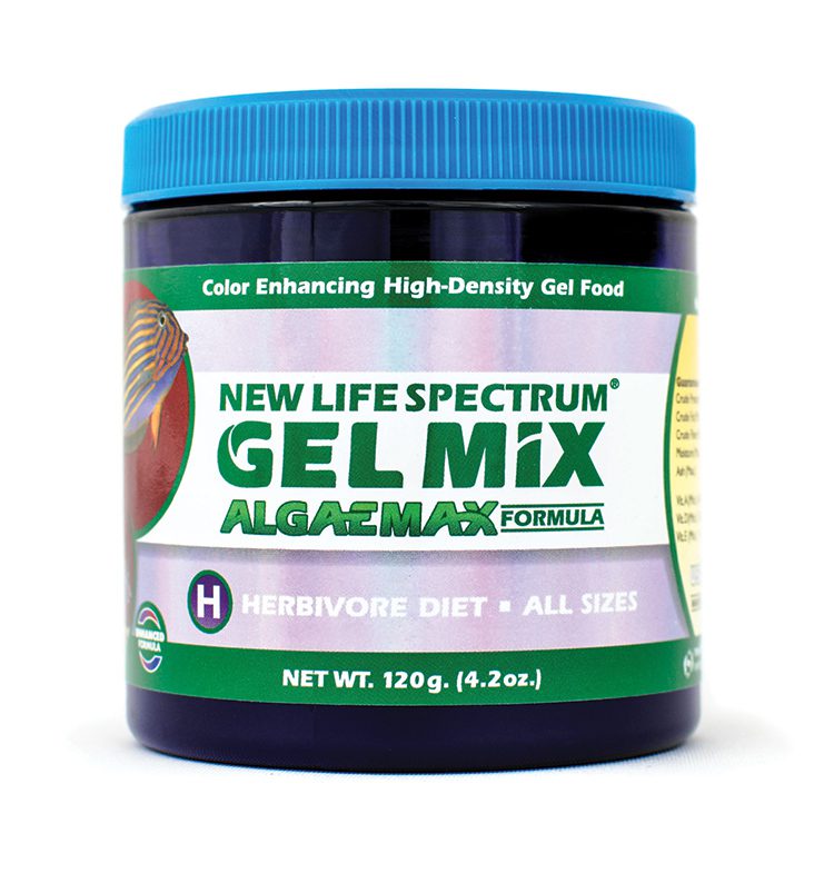 New Life Spectrum Algae Max Gel Mix Fish Food