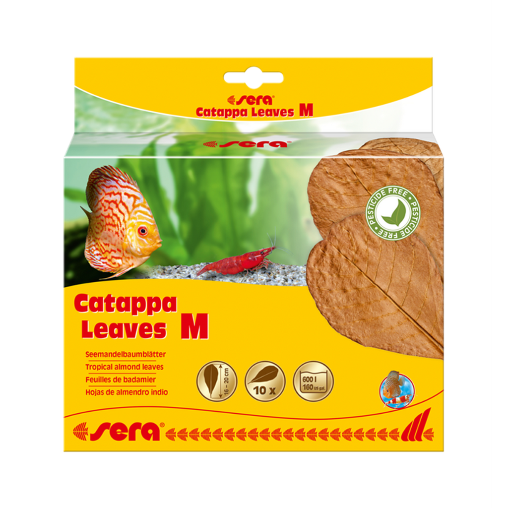 Sera Catappa Leaves M for Aquarium Use