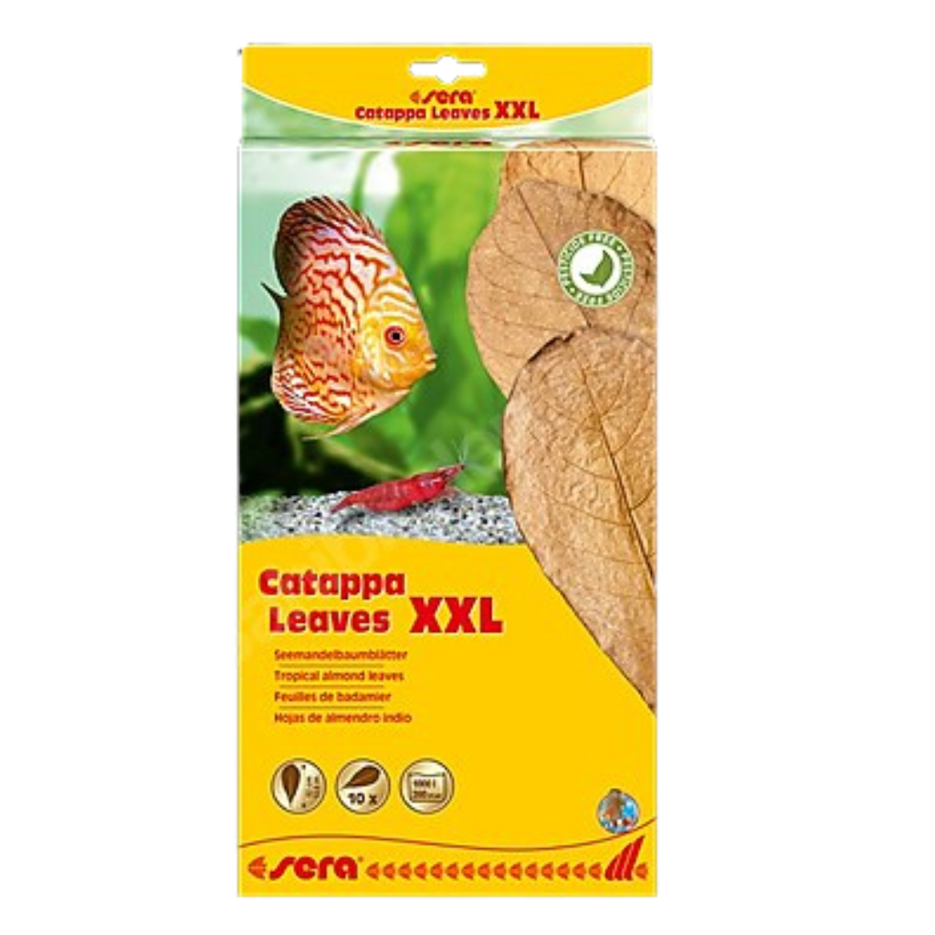 Sera Catappa Leaves XXL for Aquarium Use