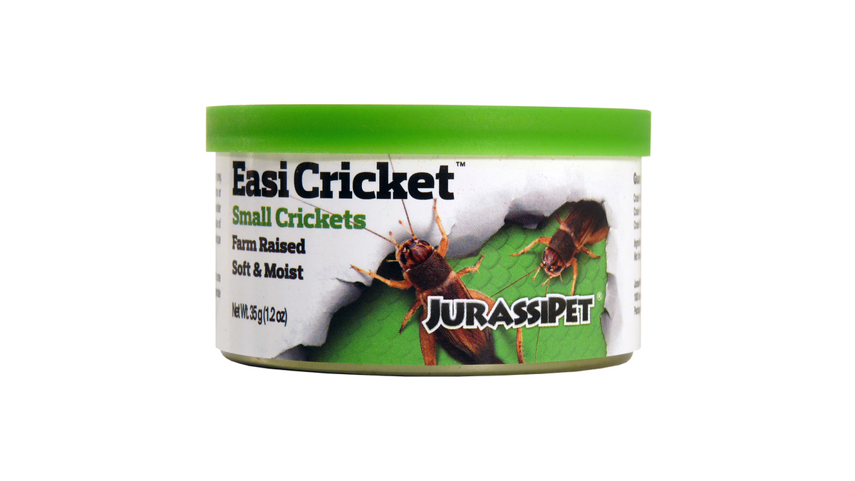 Jurrasi-Diet Easi Cricket