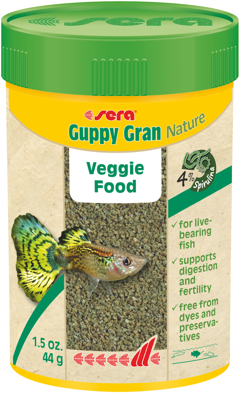 Guppy top live food