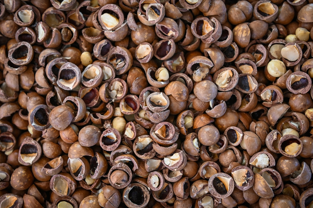 Macadamia Nut Shells
